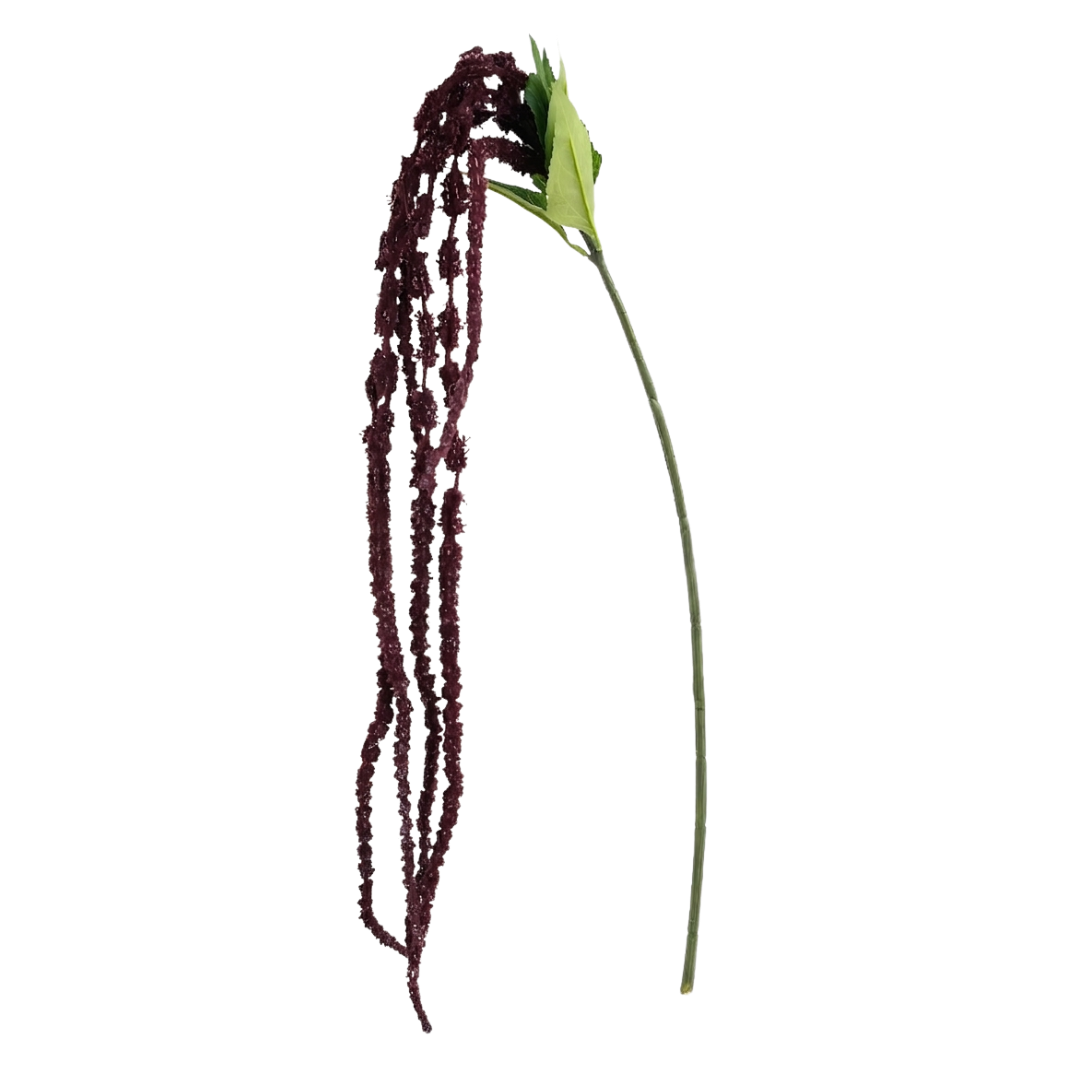 Kunstig Amaranthus, Rævehale
